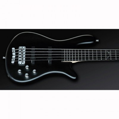 Warwick Artist Line Robert Trujillo 5