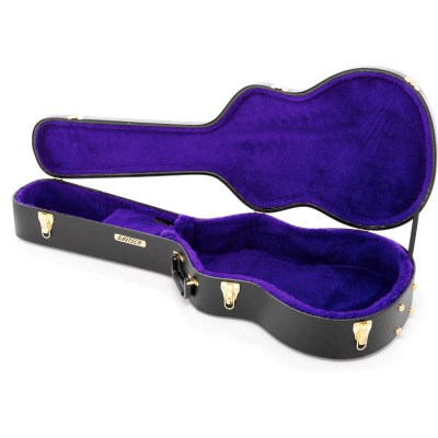 Gretsch G6295 Case