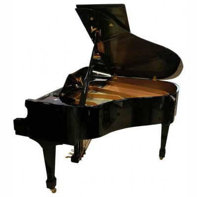 Roth & Junius RJGP 150 E/P Grand Piano