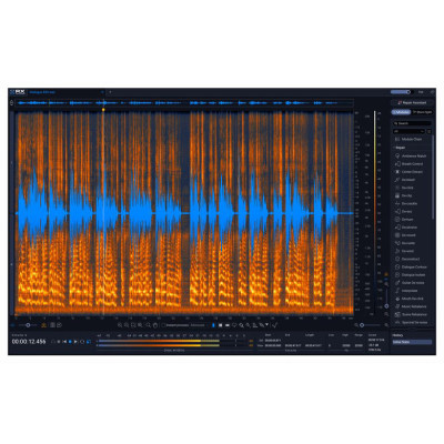 iZotope RX 12 Adv UP RX 11 Adv