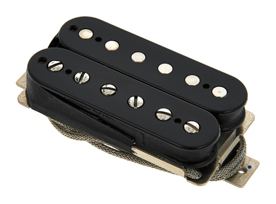 Evh Frankenstein