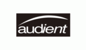 Audient купить