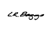 L.R.Baggs купить