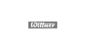 Wittner купить