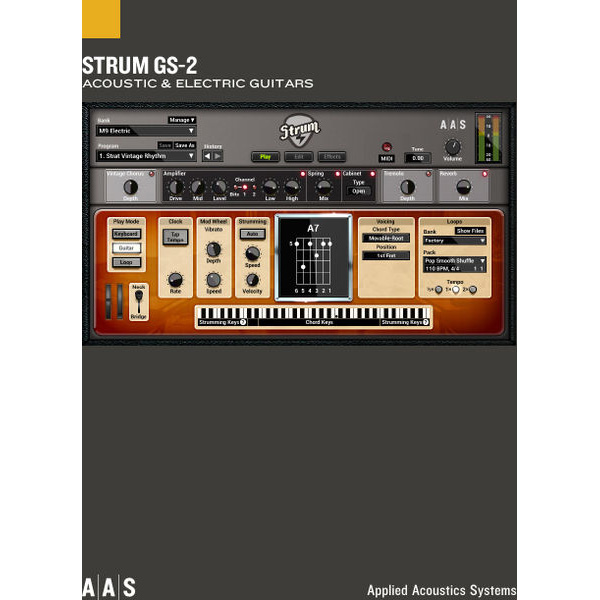 Applied Acoustics Systems Strum GS-2