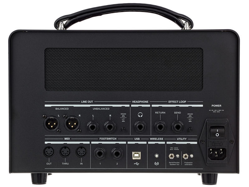 Positive grid deals bias amp head