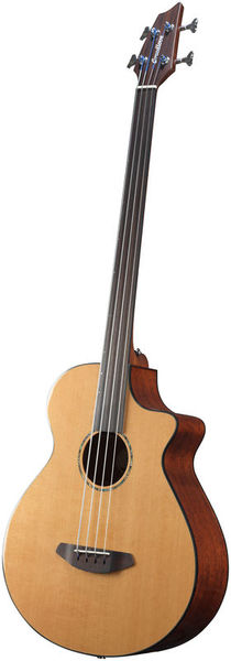 breedlove bass