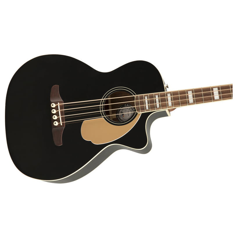 fender kingman acoustic electric bass