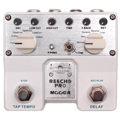 reecho delay pedal