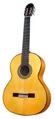 martin flamenco guitar