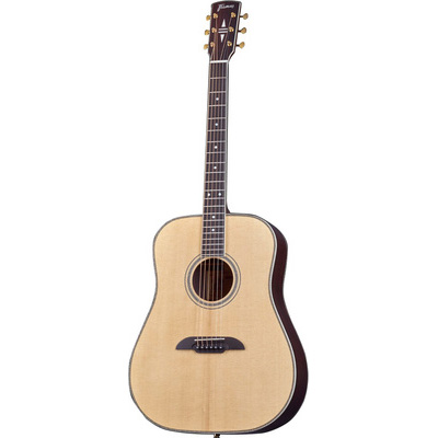 martin dx1e black