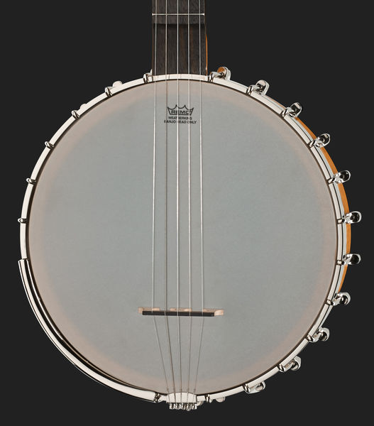 gretsch dixie special banjo