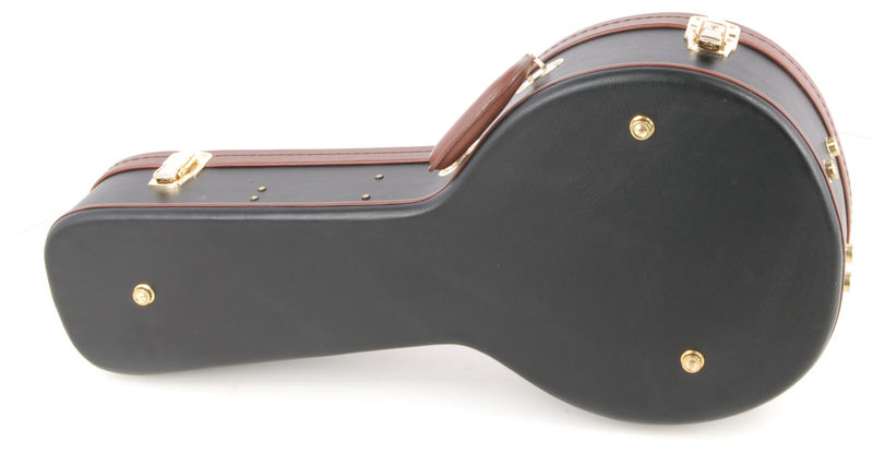 Epiphone mandolin deals case