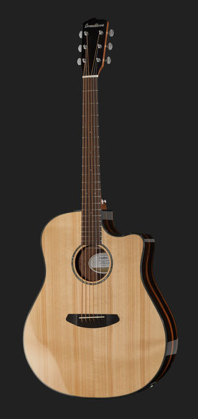 breedlove pursuit