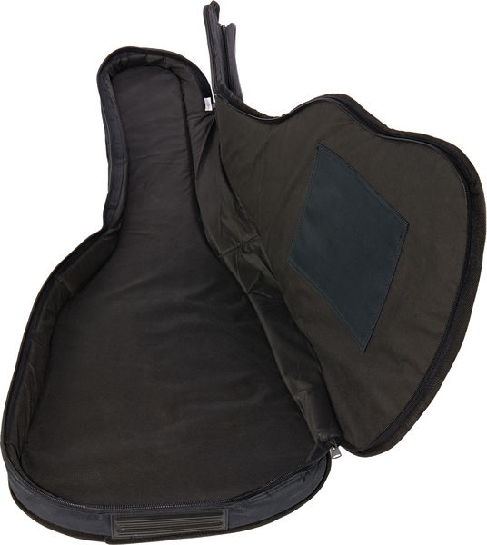 Semi hollow guitar on sale gig bag