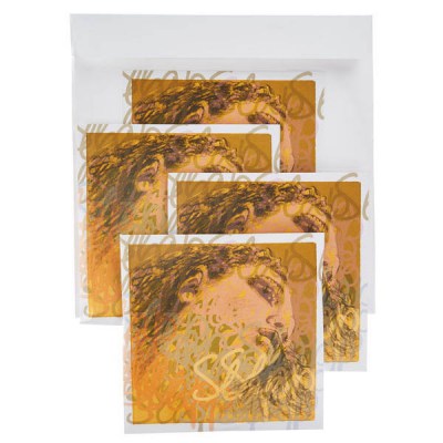 Pirastro Evah Pirazzi Slap Strings Set