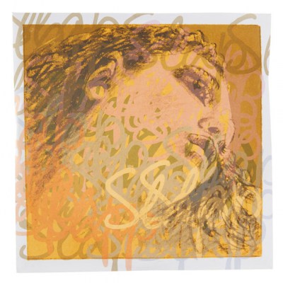 Pirastro Evah Pirazzi Slap Strings Set