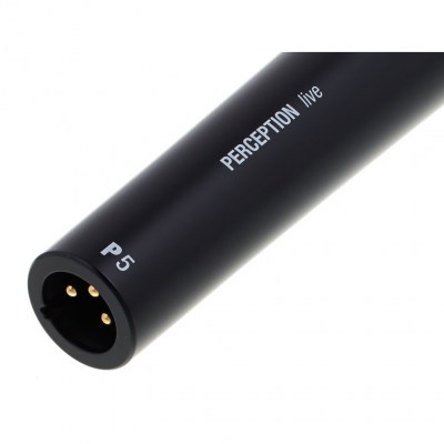AKG Perception Live P5