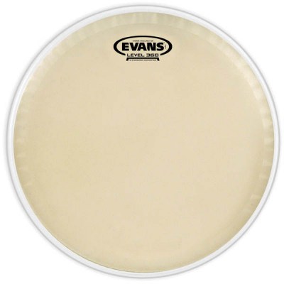 Evans 14" Strata Staccato 700