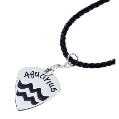 AT Picks Necklace Pick Aquarius