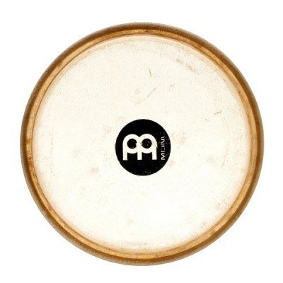 Meinl Head 03