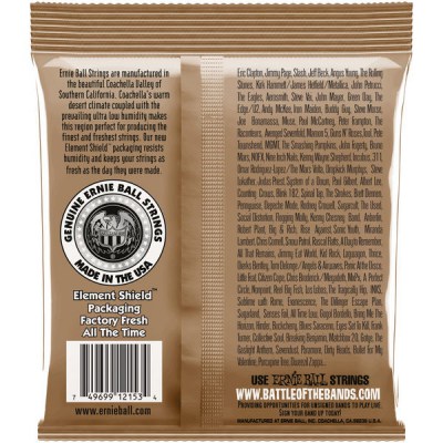 Ernie Ball 2153 Earthwood Phosphor Bronze