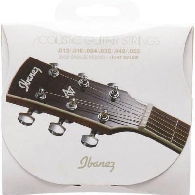 Ibanez IACS6C Acoustic Steel Strings