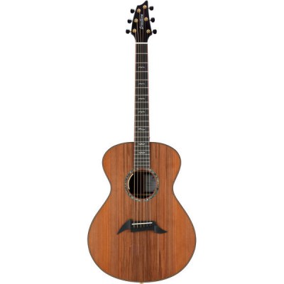 Breedlove Exotic Fingerstylist