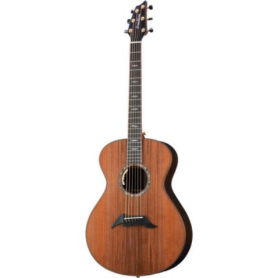 Breedlove Exotic Fingerstylist