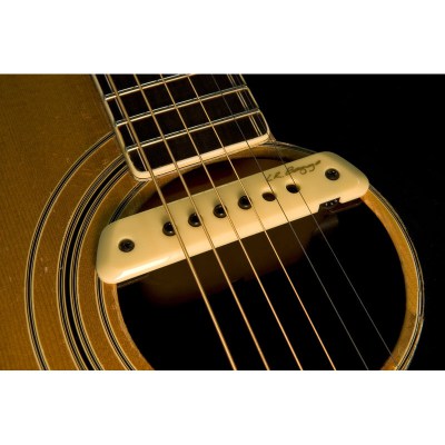 L.R.Baggs M1 Activ Soundhole Pickup