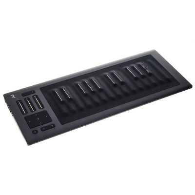 Roli Seaboard Rise 25