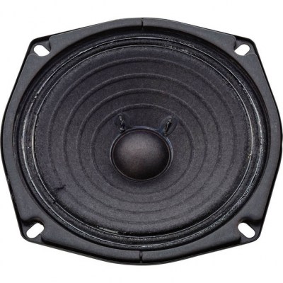 Roland Replacement Speaker Micro Cube