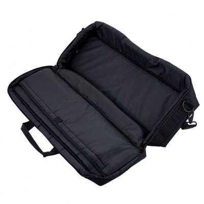 Moog Theremini Gigbag
