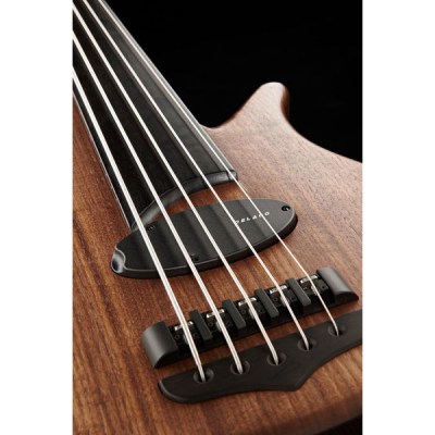 Franz Bassguitars Sirius 5 Walnut Fretless