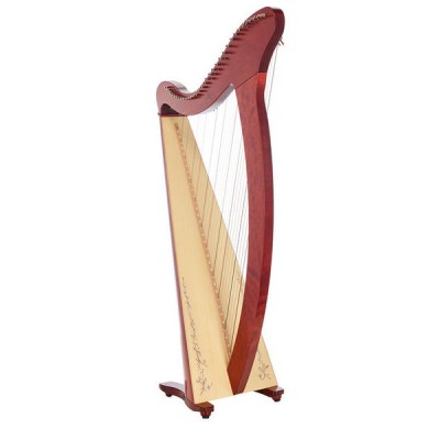 Salvi Donegal Lever Harp 34 Str. MA