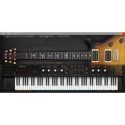 Ample Sound Ample Guitar P II