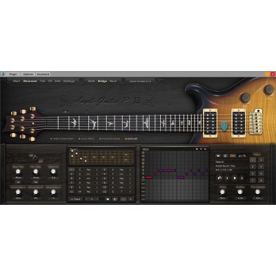 Ample Sound Ample Guitar P II