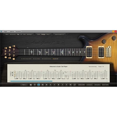 Ample Sound Ample Guitar P II