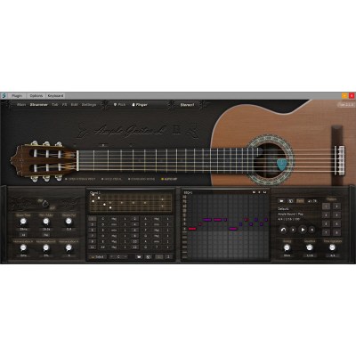 Ample Sound Ample Guitar L II