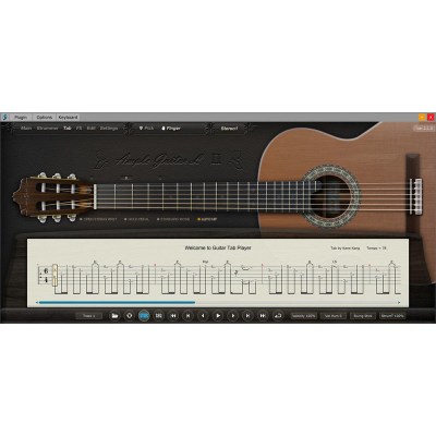 Ample Sound Ample Guitar L II