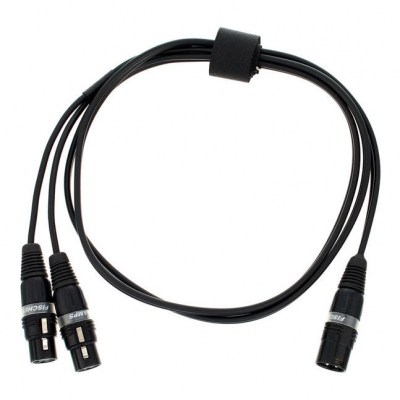 Fischer Amps Cable for In Ear Stick