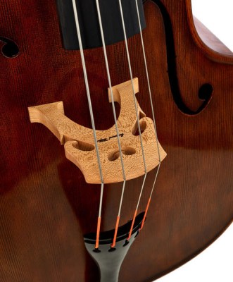 Scala Vilagio Double Bass Busseto 3/4 EW