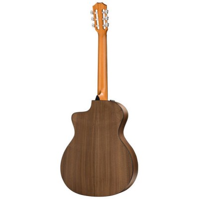 Taylor 114ce-N Nylon