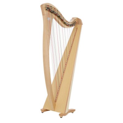 Salvi Gaia Lever Harp 38 Str. NM