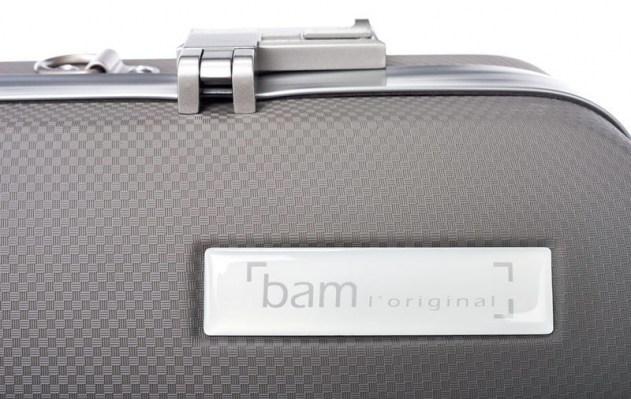 Bam PANT2001XLG Obl. Violin Case