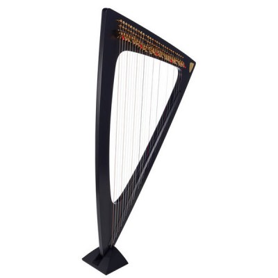 Salvi Delta Electric Harp
