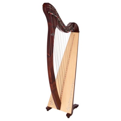 Salvi Donegal Lever Harp 34 Str. WN