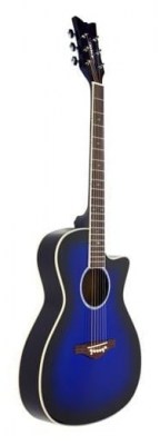 Daisy Rock Wildwood Artist RBL Burst 6278