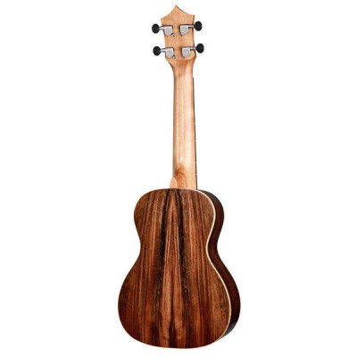 Leolani C24G Concert