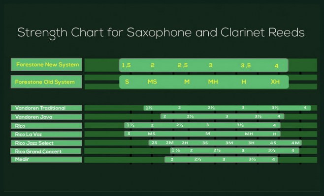 Forestone Alto Sax GX Black Nickel